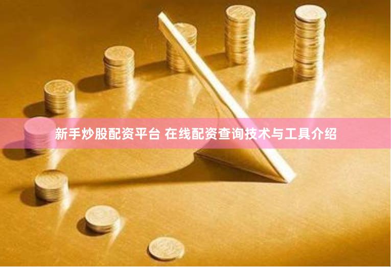 新手炒股配资平台 在线配资查询技术与工具介绍
