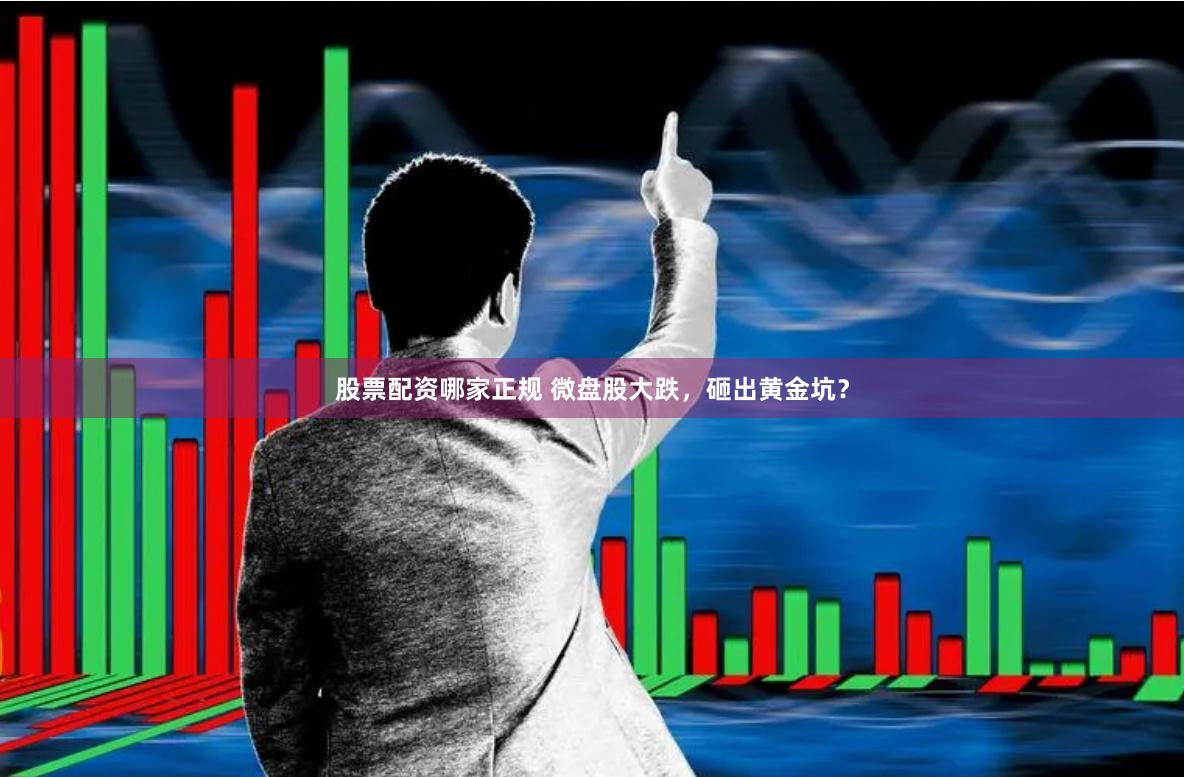 股票配资哪家正规 微盘股大跌，砸出黄金坑？